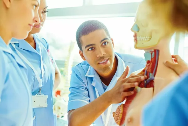 Image for University of Plymouth International College (UPIC)