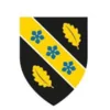 University of Wales Trinity Saint David logo