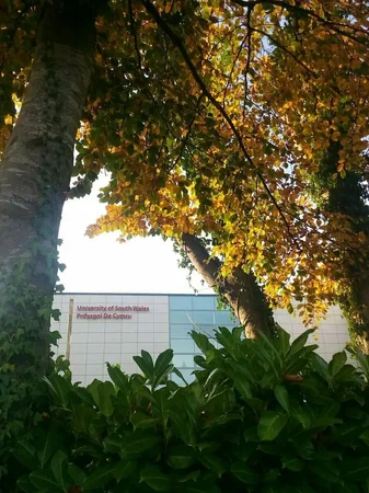 Image for University of South Wales - Treforest