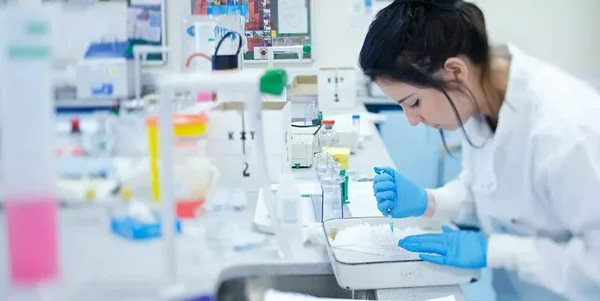 Image for University of Bradford