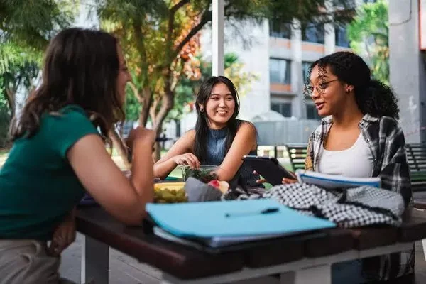 Image for Universal Higher Education