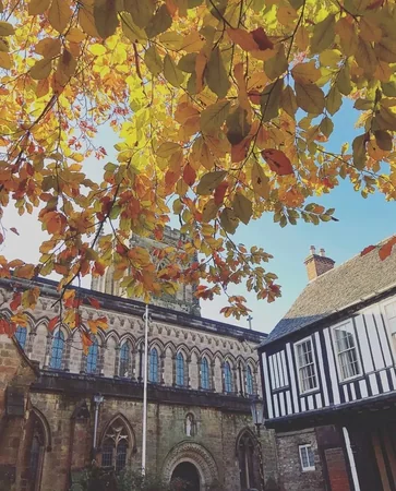 Image for De Montfort University Leicester