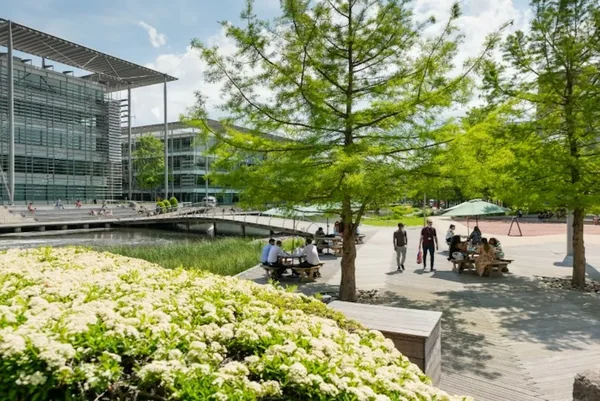 Image for Richmond American University London