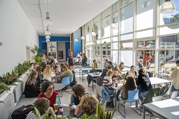 Image for University of Brighton - City Campus