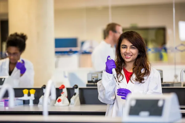 Image for The University of Sheffield International College